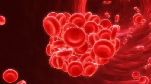 Foods that Raise Your Risk of Blood Clotting